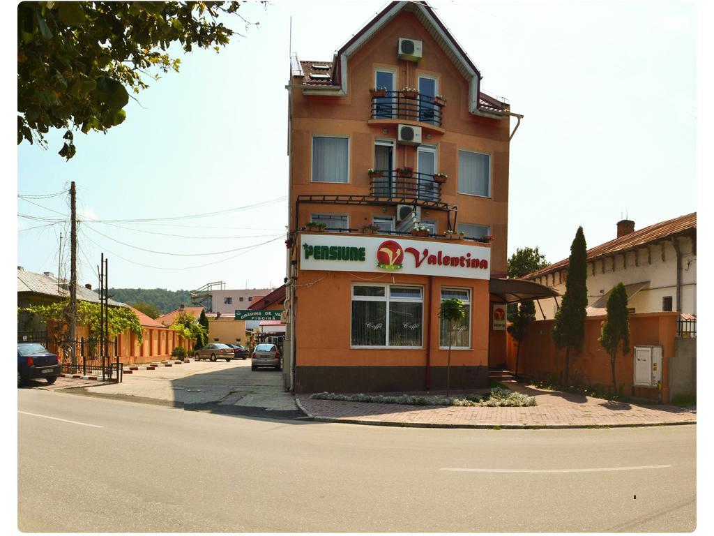 Pensiune Valentina Otel Râmnicu Vâlcea Dış mekan fotoğraf