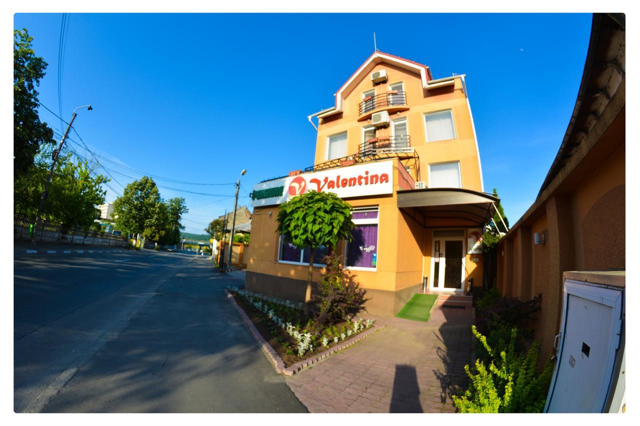 Pensiune Valentina Otel Râmnicu Vâlcea Dış mekan fotoğraf